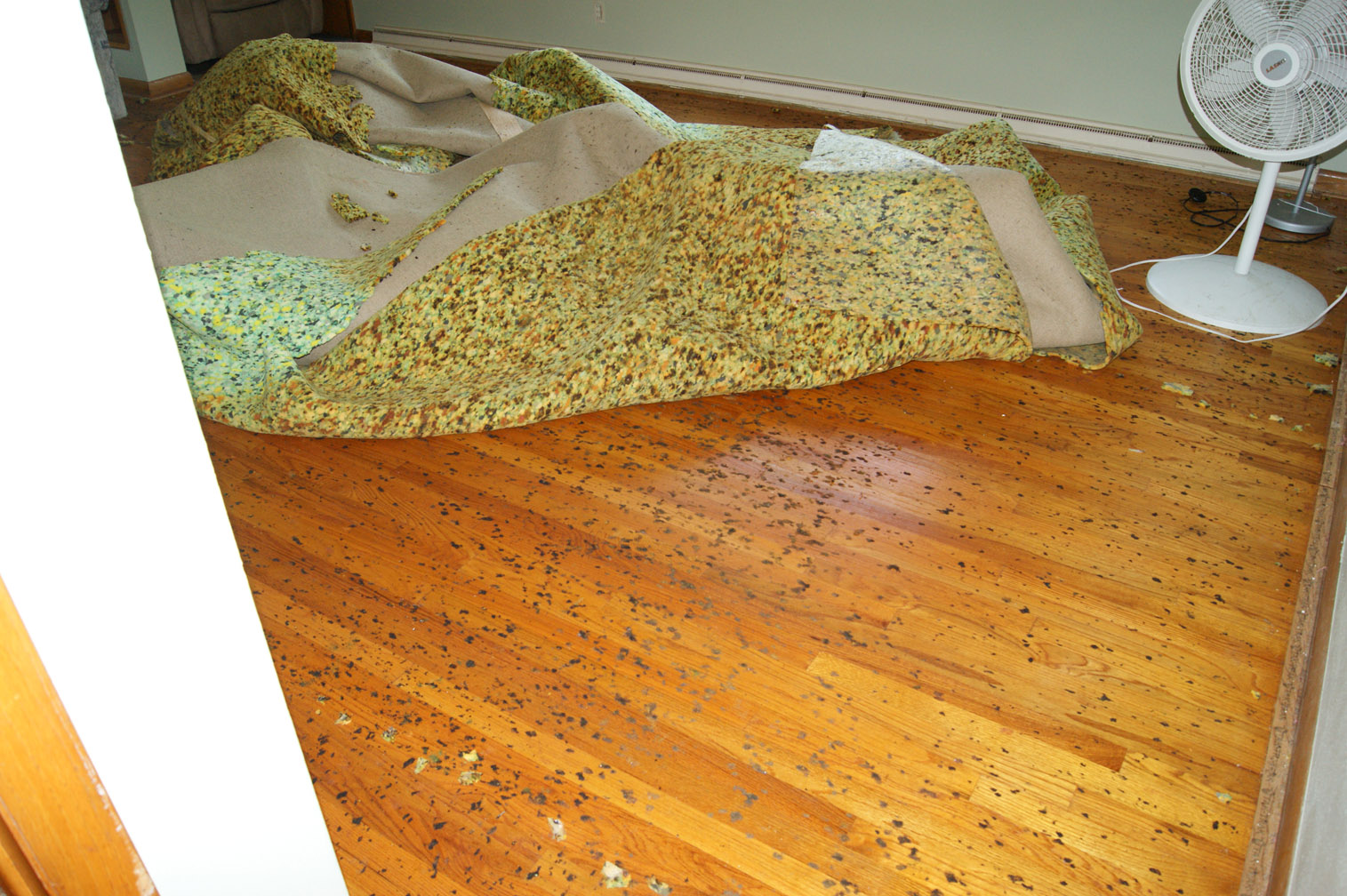 Spots - Yellow Dust Under Old Carpet - HD Wallpaper 