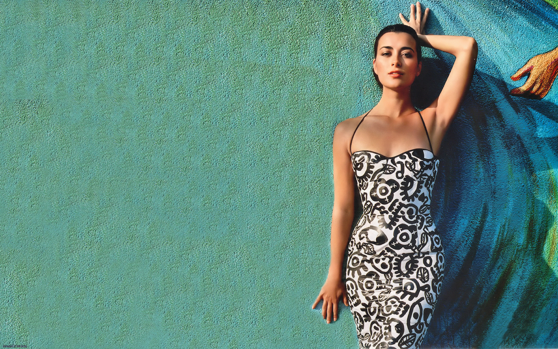 Cote De Pablo Wallpaper - Ncis Ziva - HD Wallpaper 