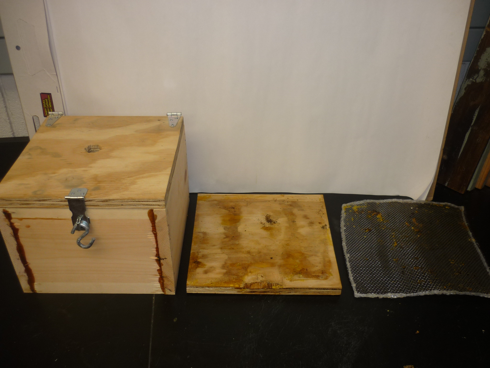 P1150340 - Floor - 2048x1536 Wallpaper - teahub.io