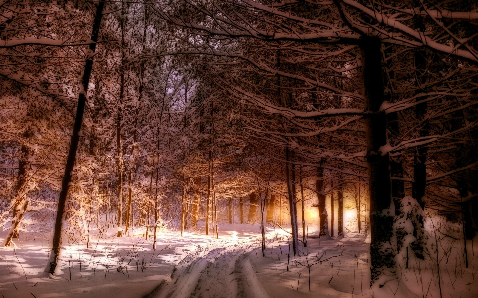 Maine Winter Background - HD Wallpaper 