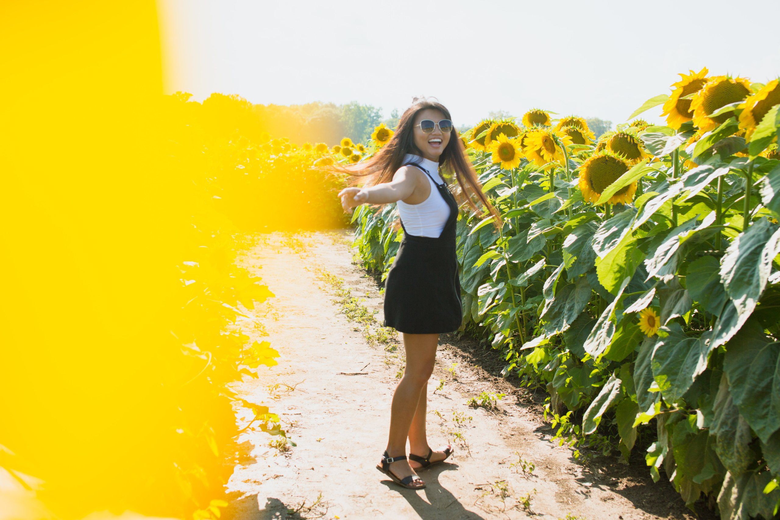 Happy Chinese Girl Hd Wallpaper With Sunflower - Stocker Farms Snohomish Sunflowers - HD Wallpaper 