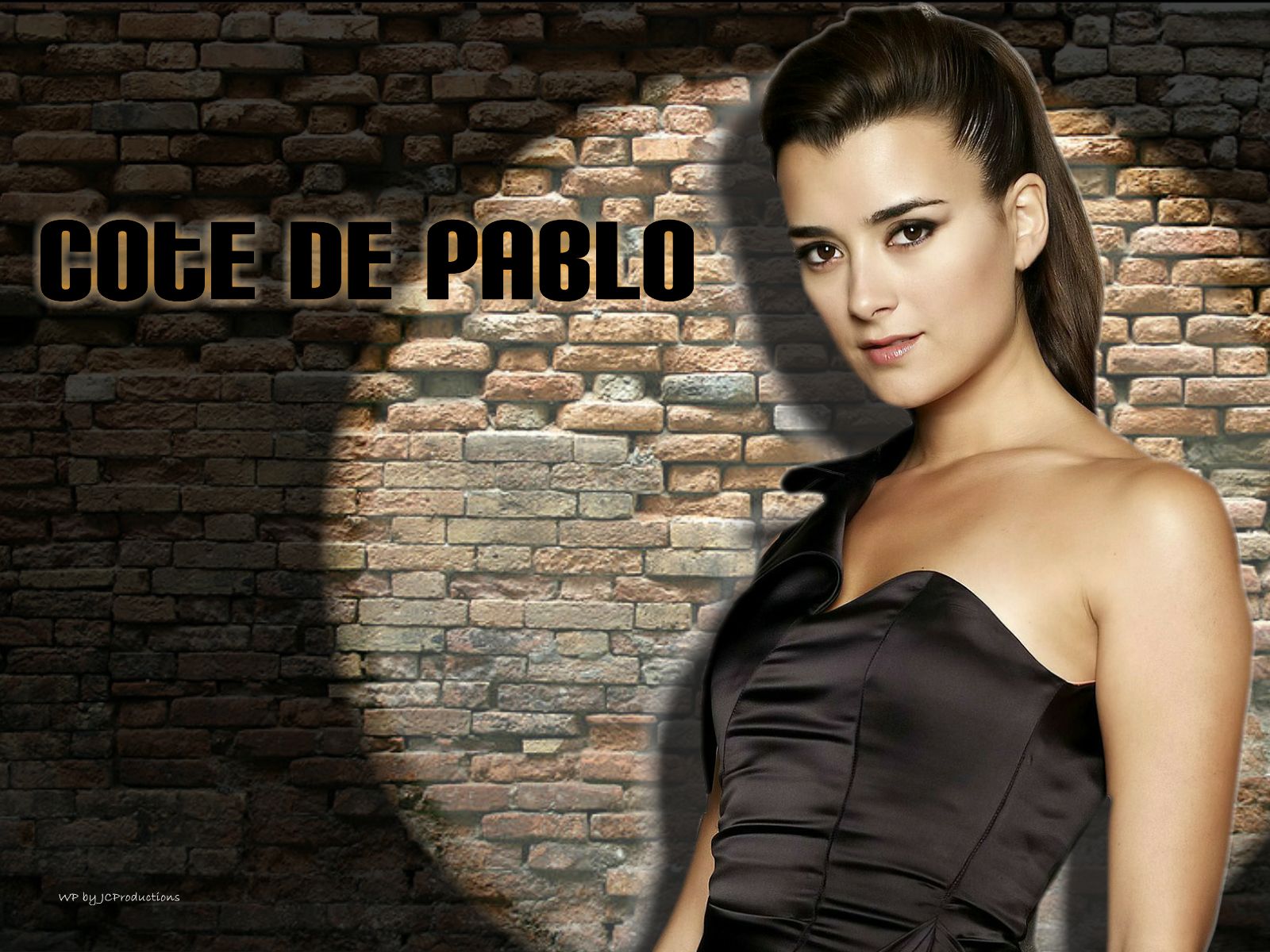 Cote De Pablo Hintergrundbilder - HD Wallpaper 