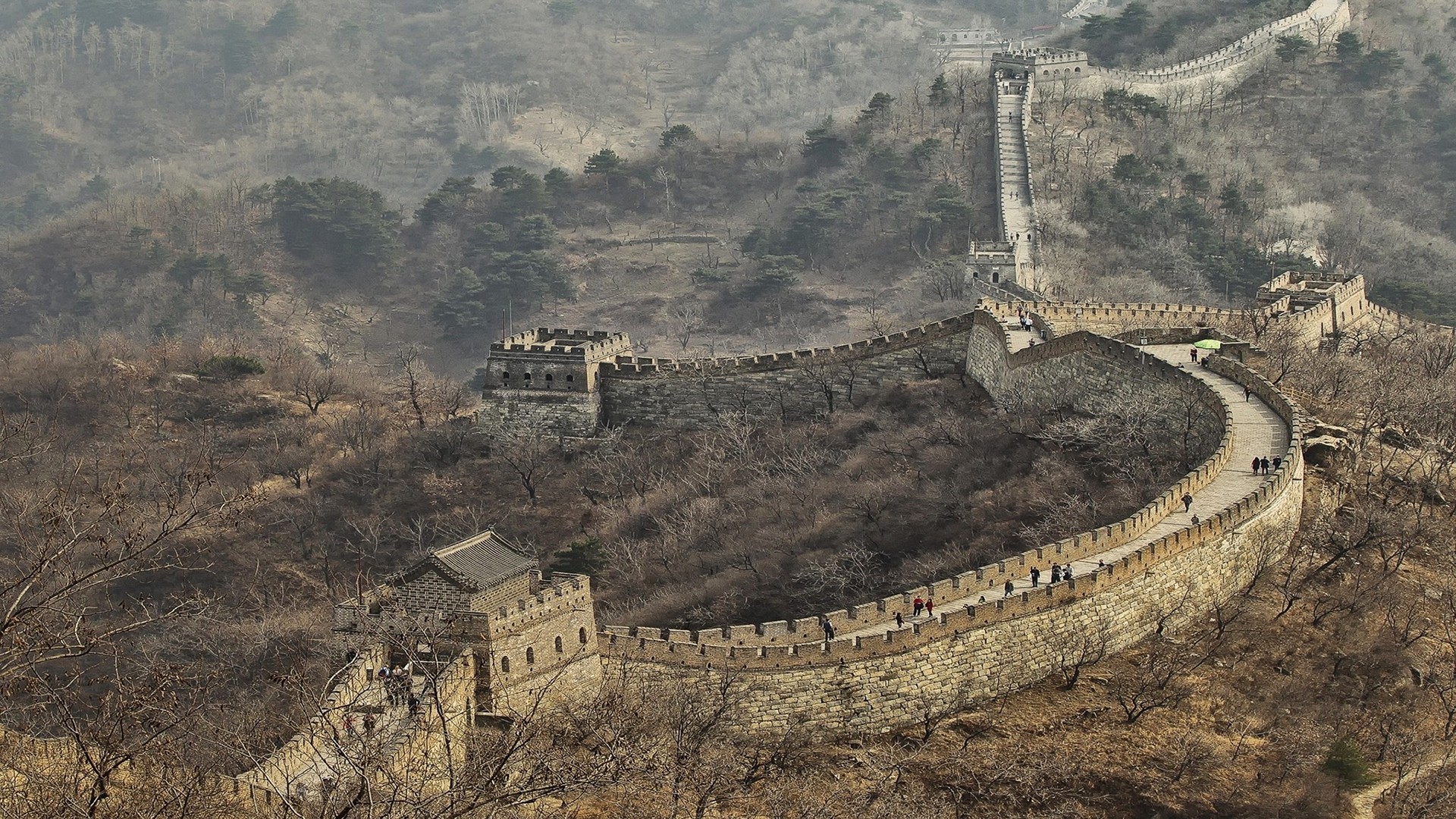 Great Wall Of China Trees - HD Wallpaper 