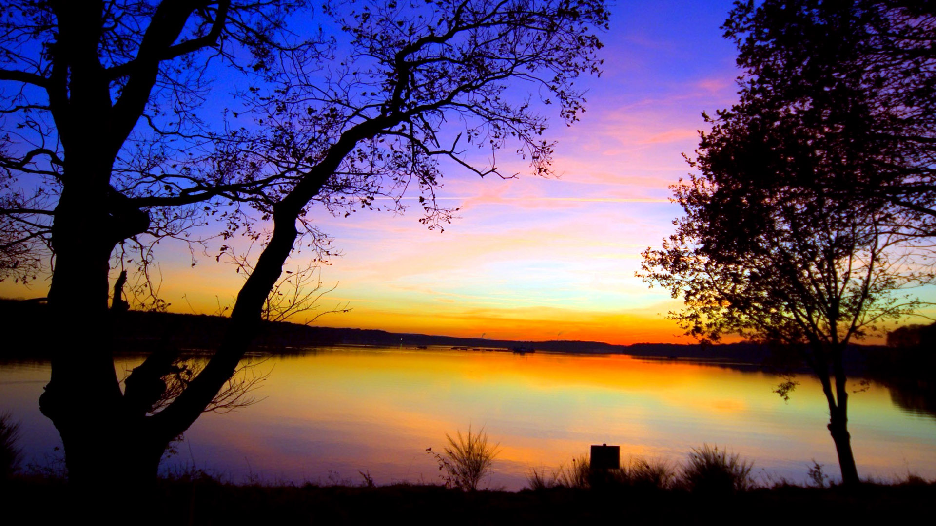 Sunset Purple Trees - HD Wallpaper 