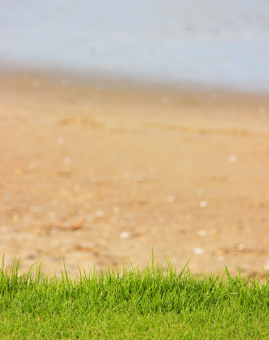 Grass And Beach Phone Wallpaper - Grass - HD Wallpaper 