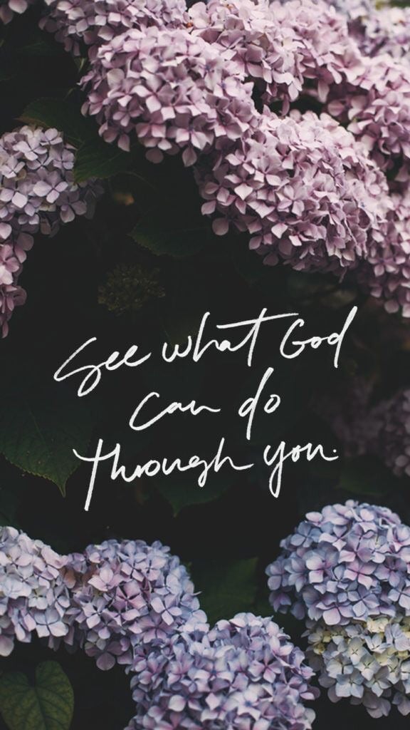 Background, Floral, And Quote Image - See What God Can Do Through You Elevation - HD Wallpaper 