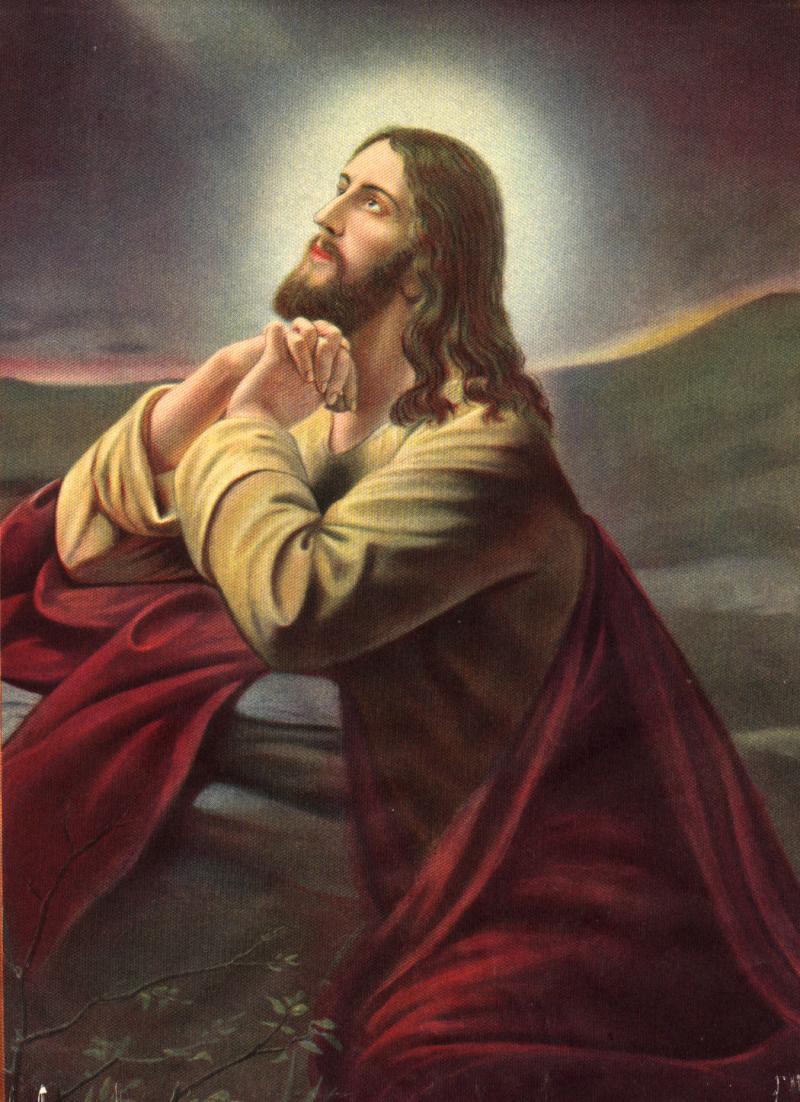Jesus Praying Looking Up - HD Wallpaper 