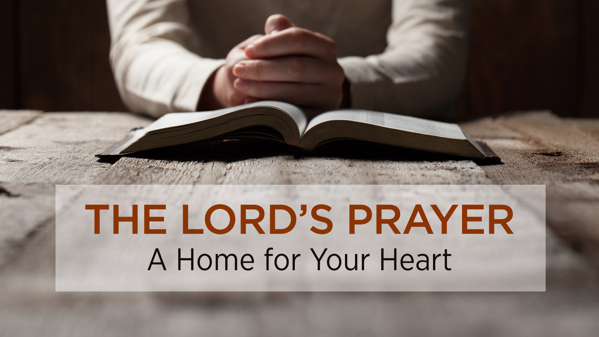 Bible Study - HD Wallpaper 