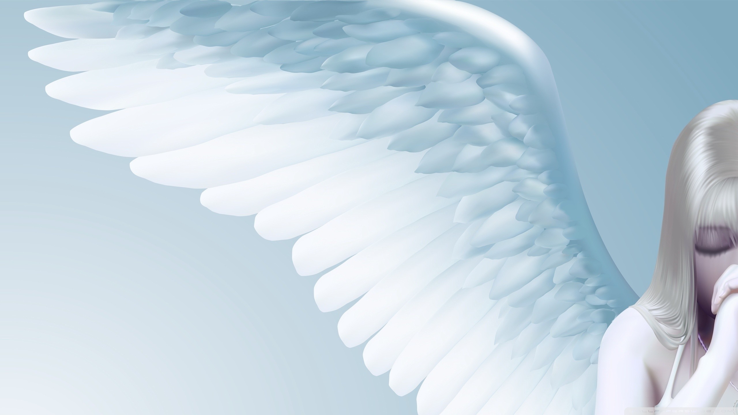 True Image Of Angel - HD Wallpaper 