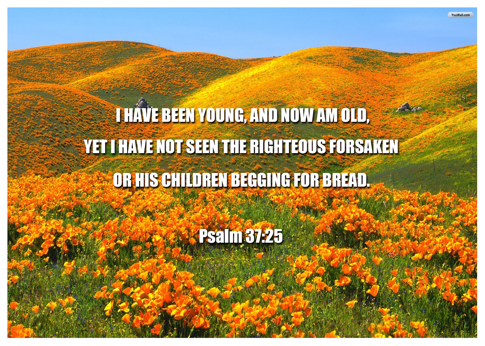 Nature Beautiful Images In India - HD Wallpaper 