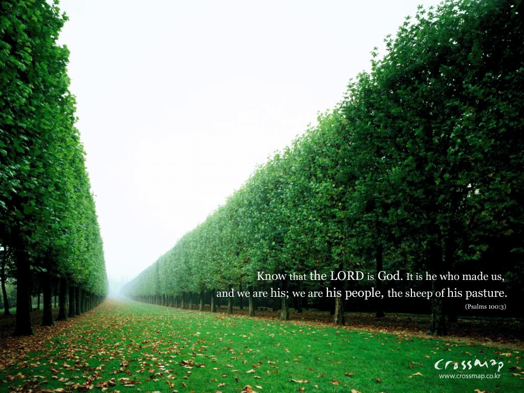 God Quotes Wallpaper Hd - HD Wallpaper 