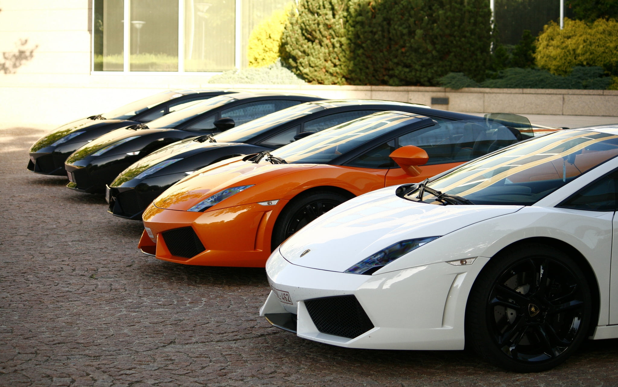 Lamborghini Gallardo - HD Wallpaper 