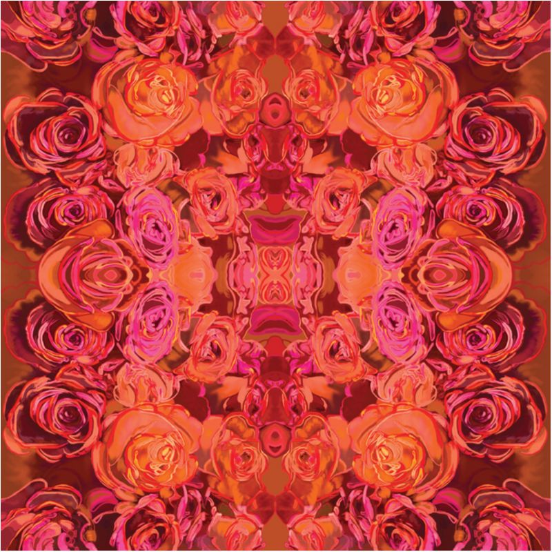 Garden Roses - HD Wallpaper 