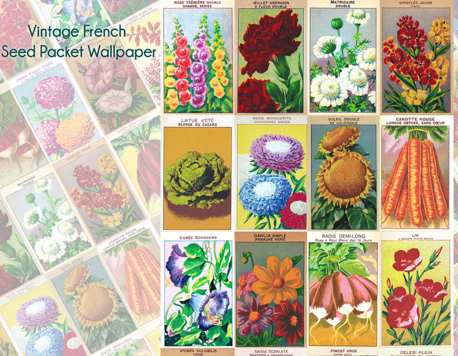 Floral Design - HD Wallpaper 