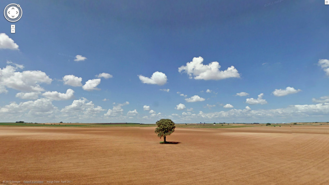 Field - HD Wallpaper 