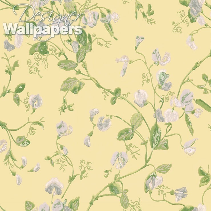 Sweet Pea - Cole And Son Sweet Pea - HD Wallpaper 