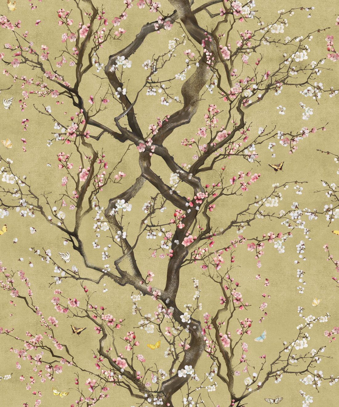Plum Blossom - HD Wallpaper 