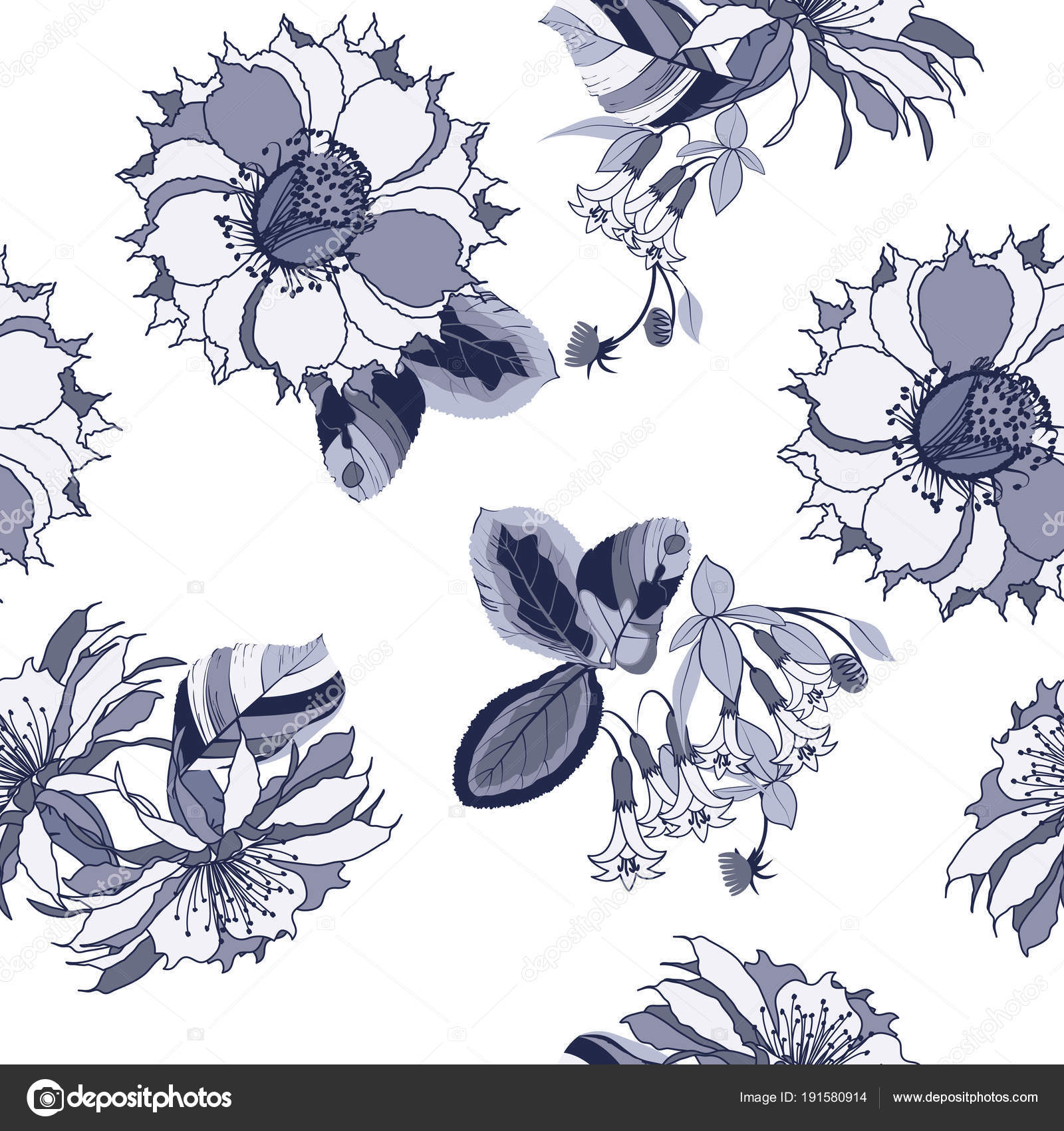 Burnet Rose - HD Wallpaper 