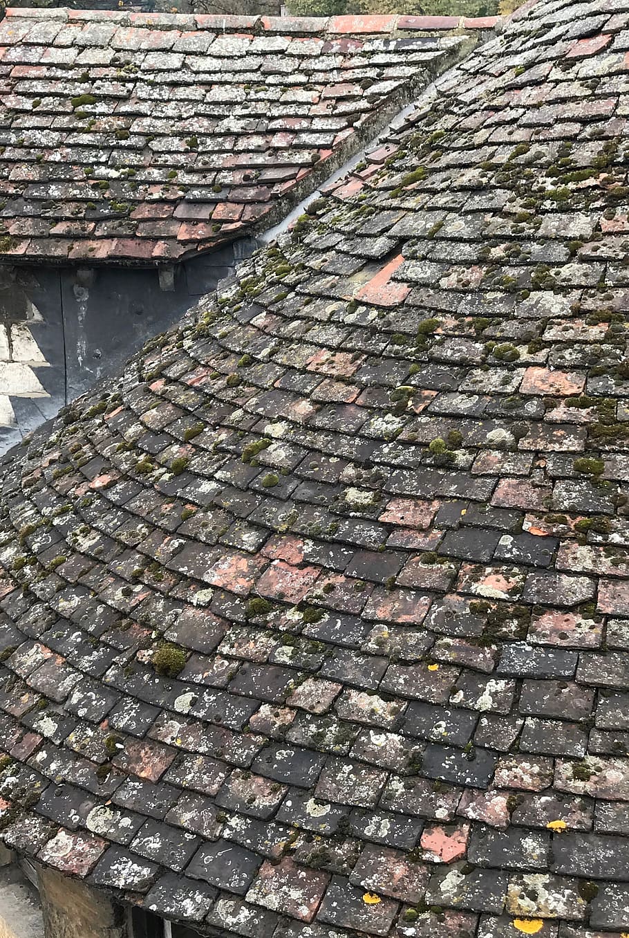 United Kingdom, York, Old English Roof, Rooftop, Moss - Roof - HD Wallpaper 