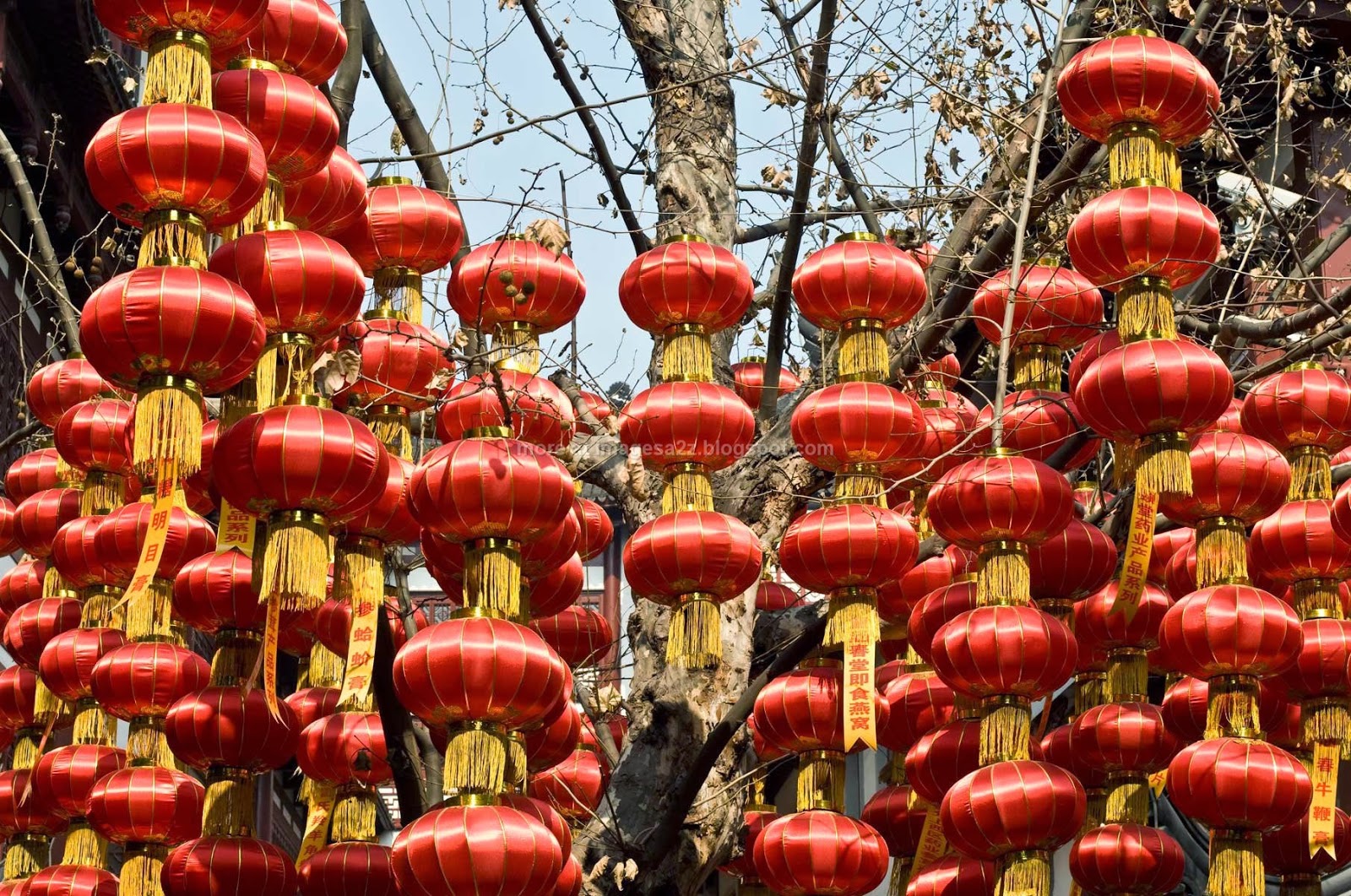 Chinese New Year 2014 Decorations Chinese New Year - Chinese New Year - HD Wallpaper 