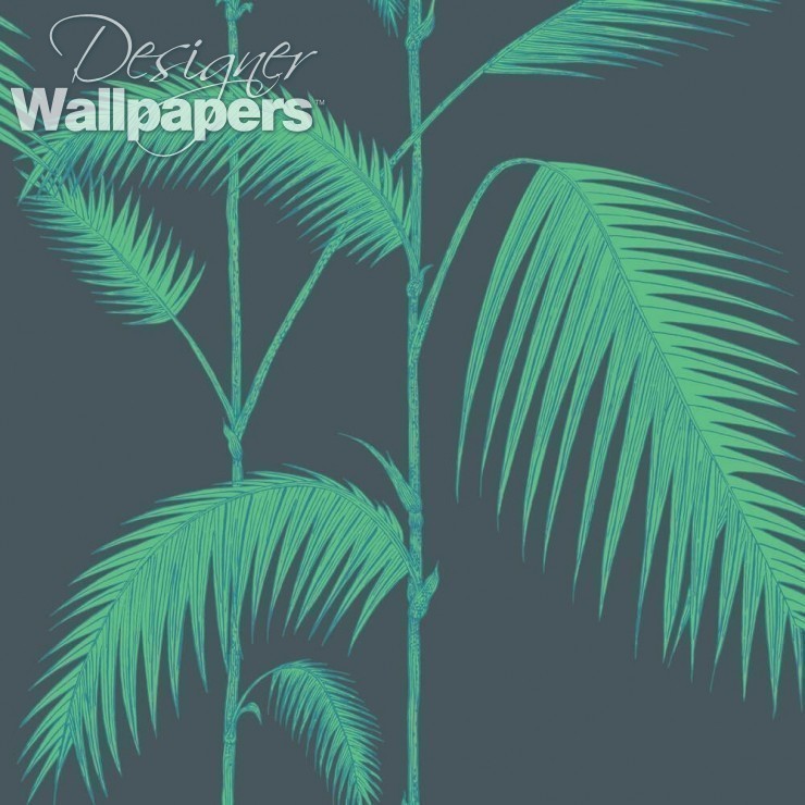 Palm Leaves - HD Wallpaper 