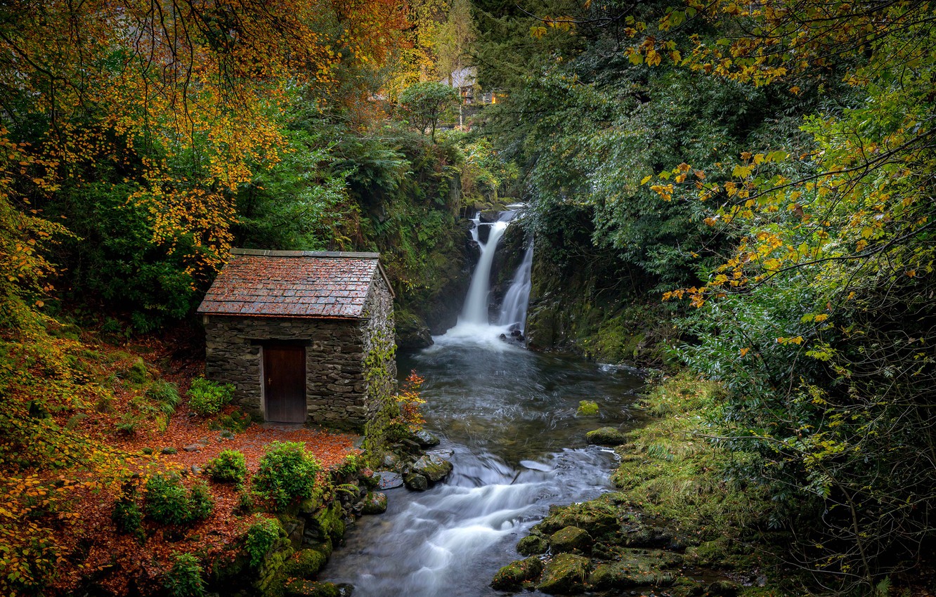 Photo Wallpaper Autumn, Forest, Leaves, Trees, Stream, - Домик Среди Леса И Водопада - HD Wallpaper 