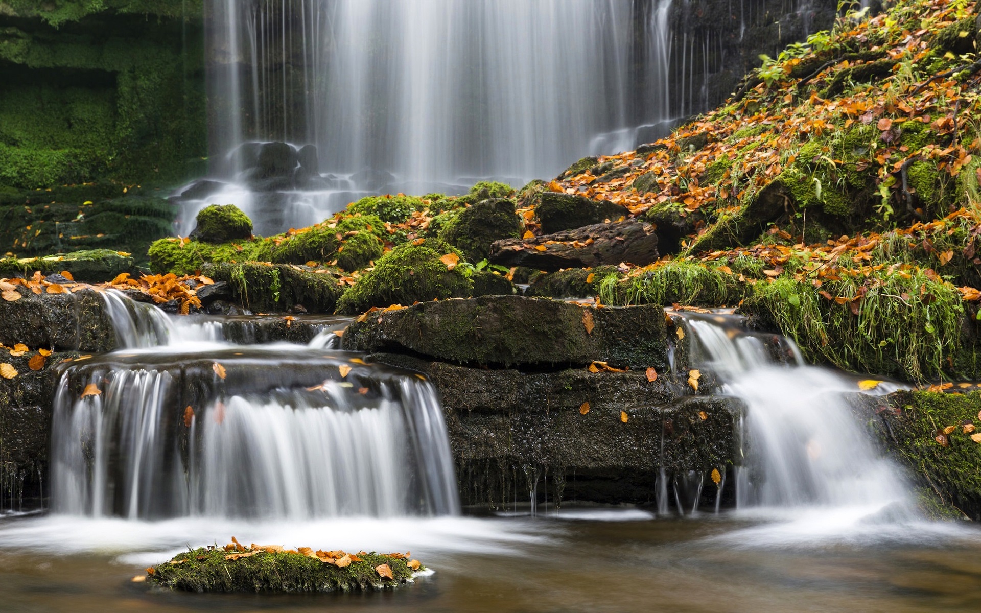 Wallpaper Stream, Waterfall, Leaves, Moss, Yorkshire, - Yorkshire Dales National Park - HD Wallpaper 