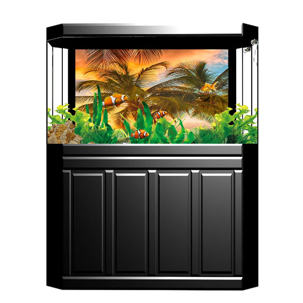 Photograph - HD Wallpaper 