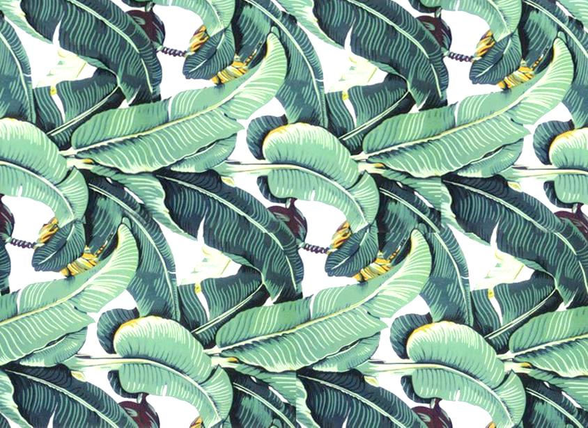 Tropical Wallpaper Uk - Golden Girl Leaf Pattern - HD Wallpaper 