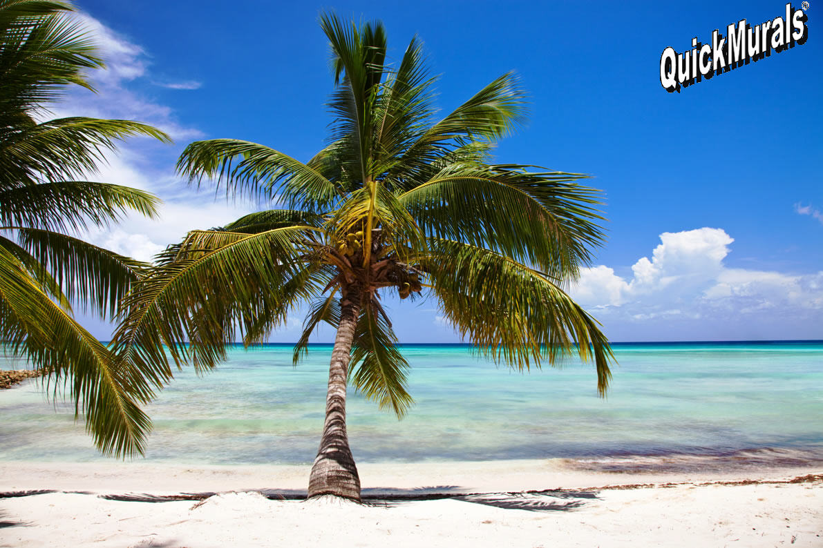 Tropical Beach Wall Mural - Mural - HD Wallpaper 