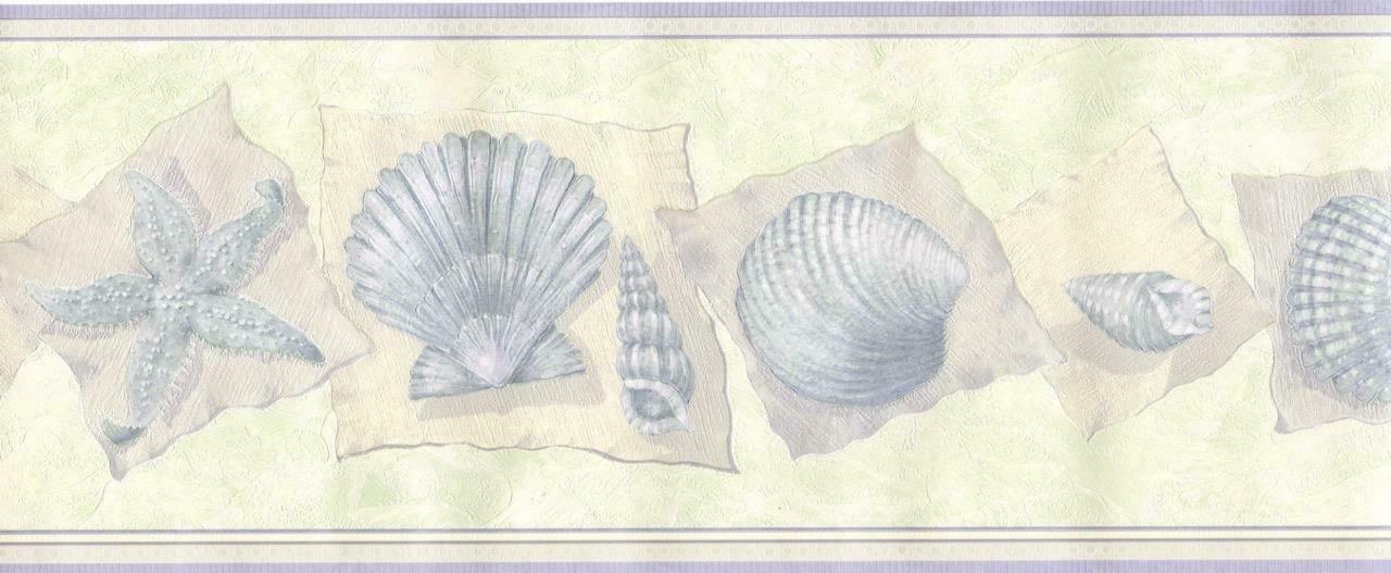 Shell - HD Wallpaper 