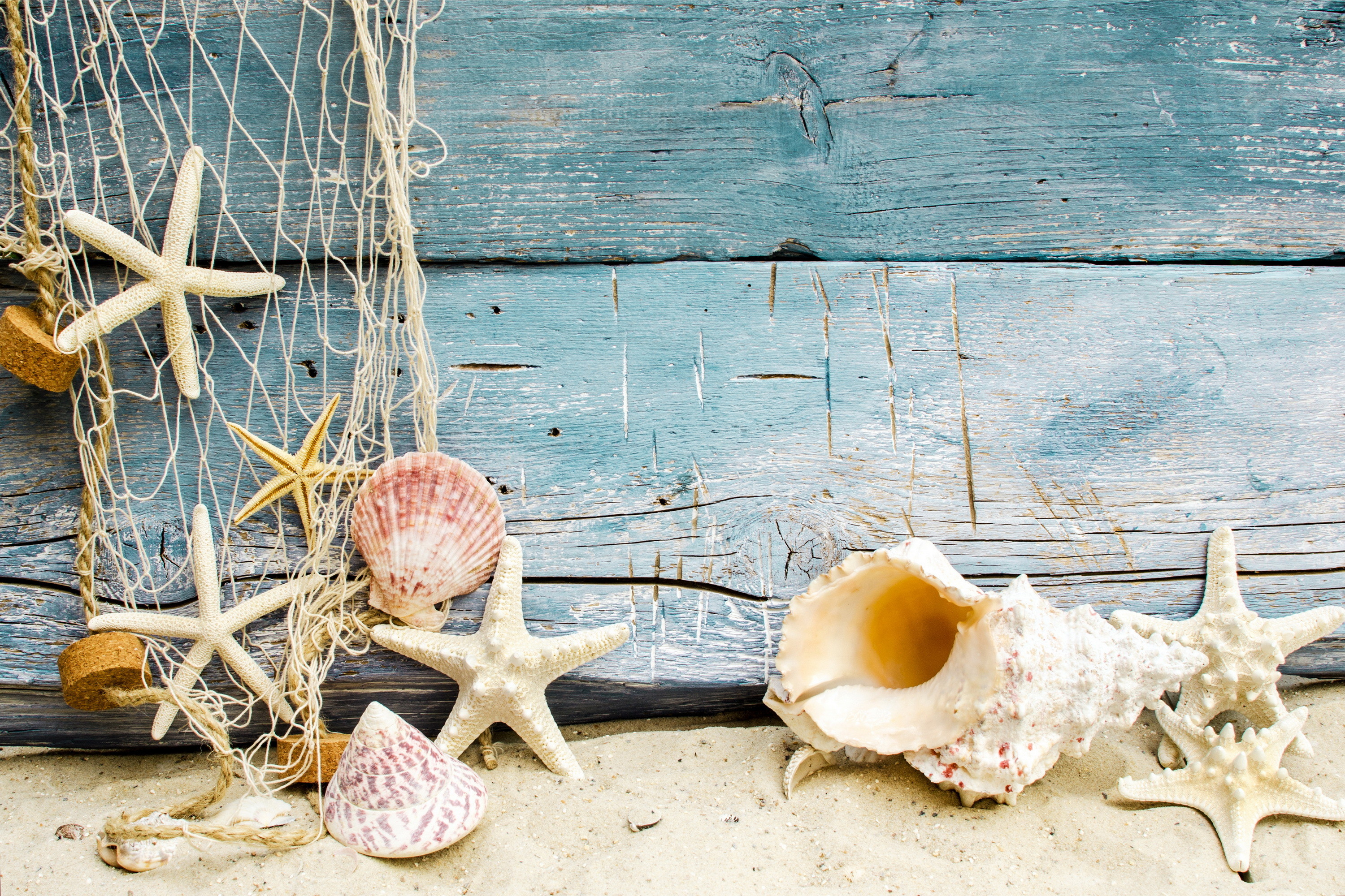 Beach Sand With Shells - Beach Shells - 3000x2000 Wallpaper 