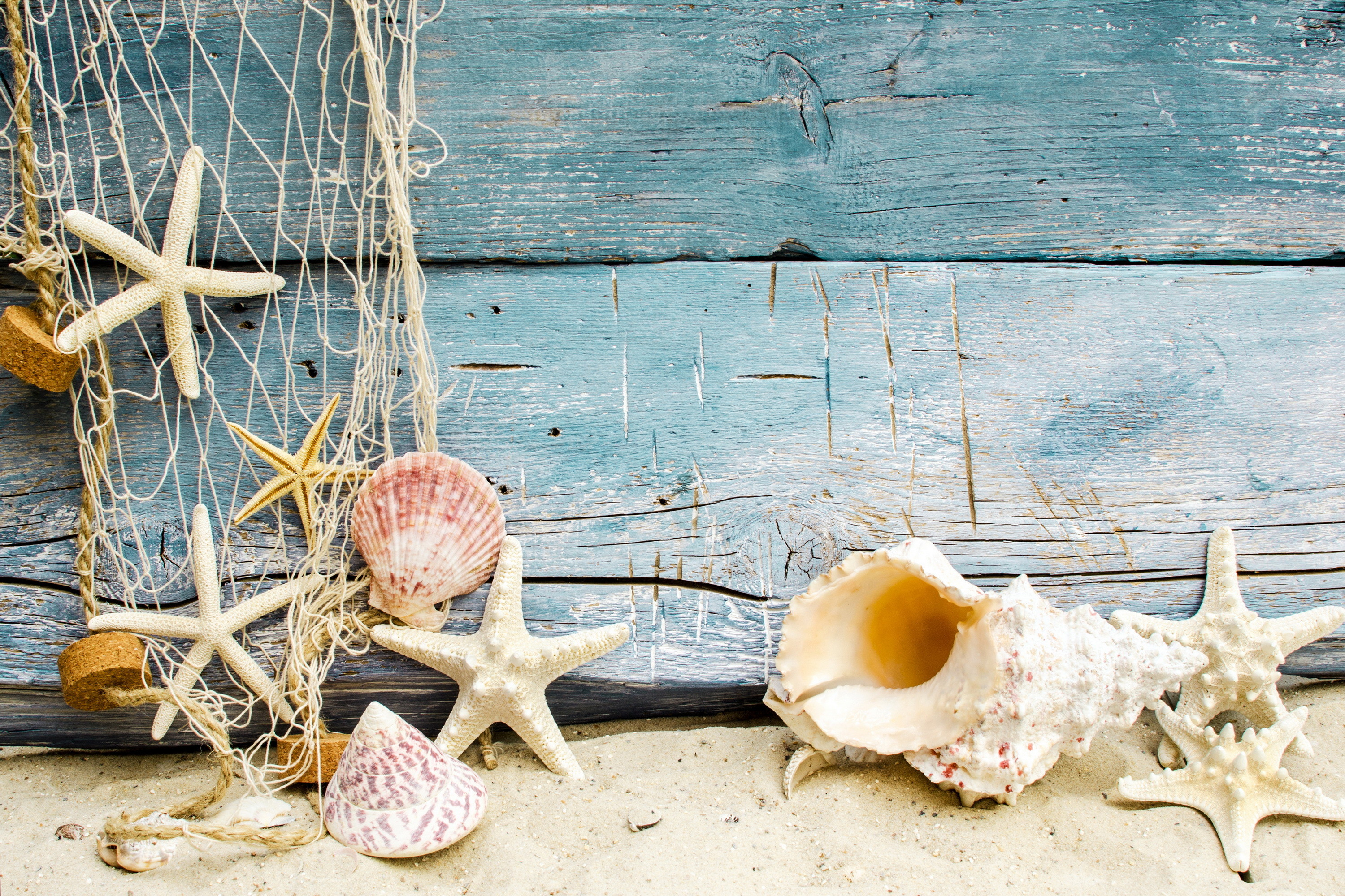 Beach Sand With Shells - Beach Shells - 3000x2000 Wallpaper Beach Sand With Shells - Beach Shells - 3000x2000 Wallpaper