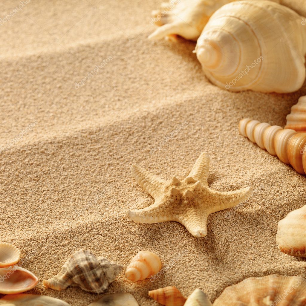 Фото Песок И Ракушки - HD Wallpaper 
