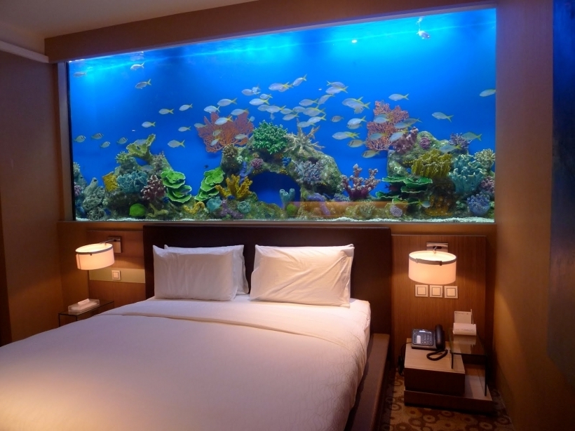 Brilliant Aquarium Bedroom Marvelous Fish Tank Wall - Fish Tank Bedroom Wall - HD Wallpaper 
