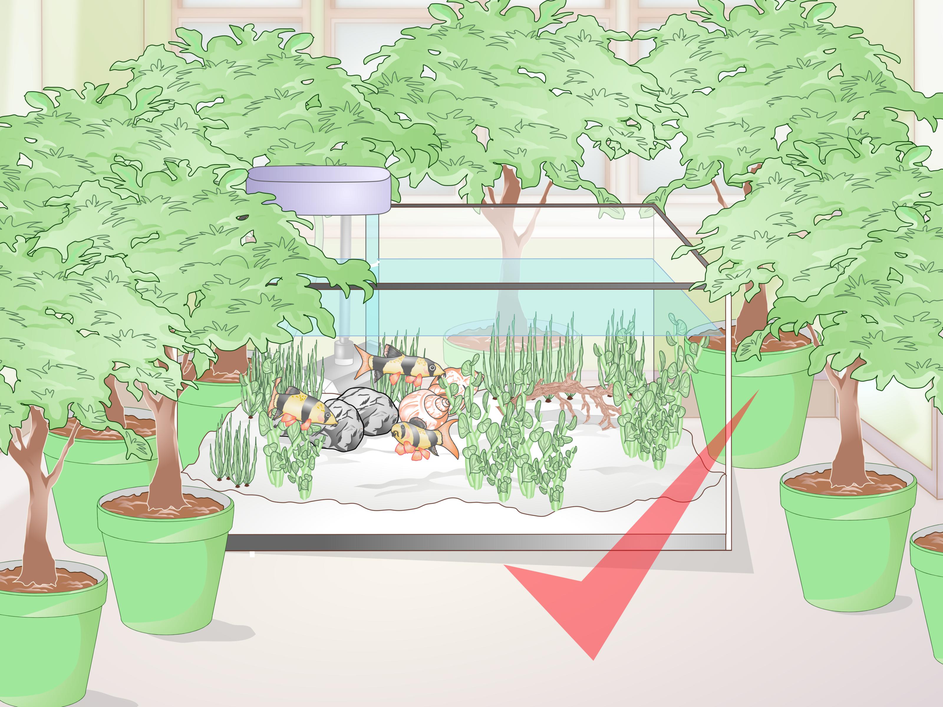 Image Titled Decorate A Fish Tank Step - Flowerpot - HD Wallpaper 
