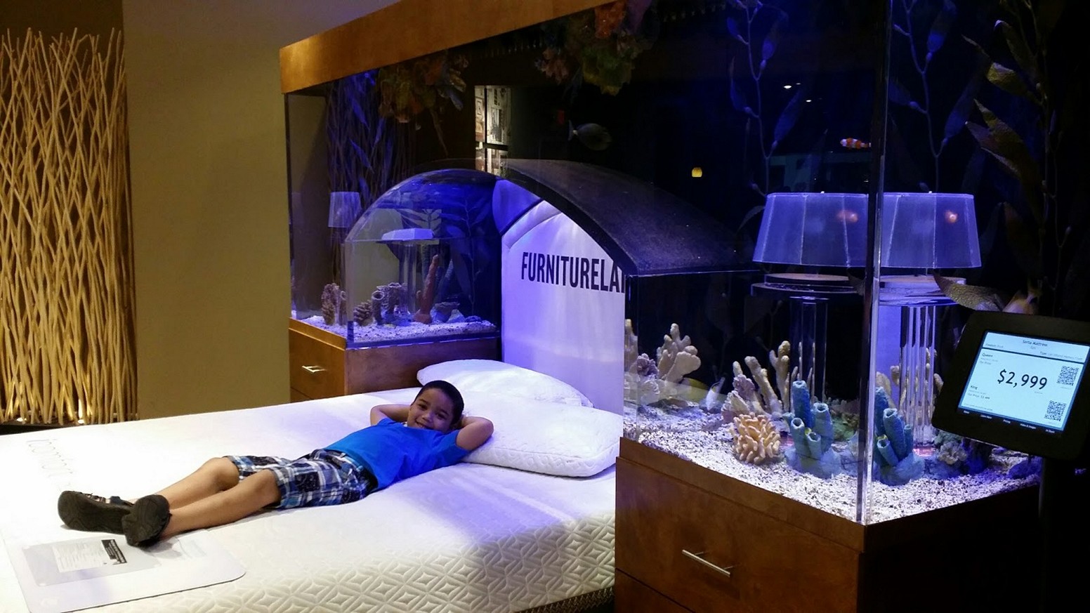Brilliant Aquarium Bedroom Fish Tank In Idea Vastu - Most Beautiful Aquarium Stand - HD Wallpaper 