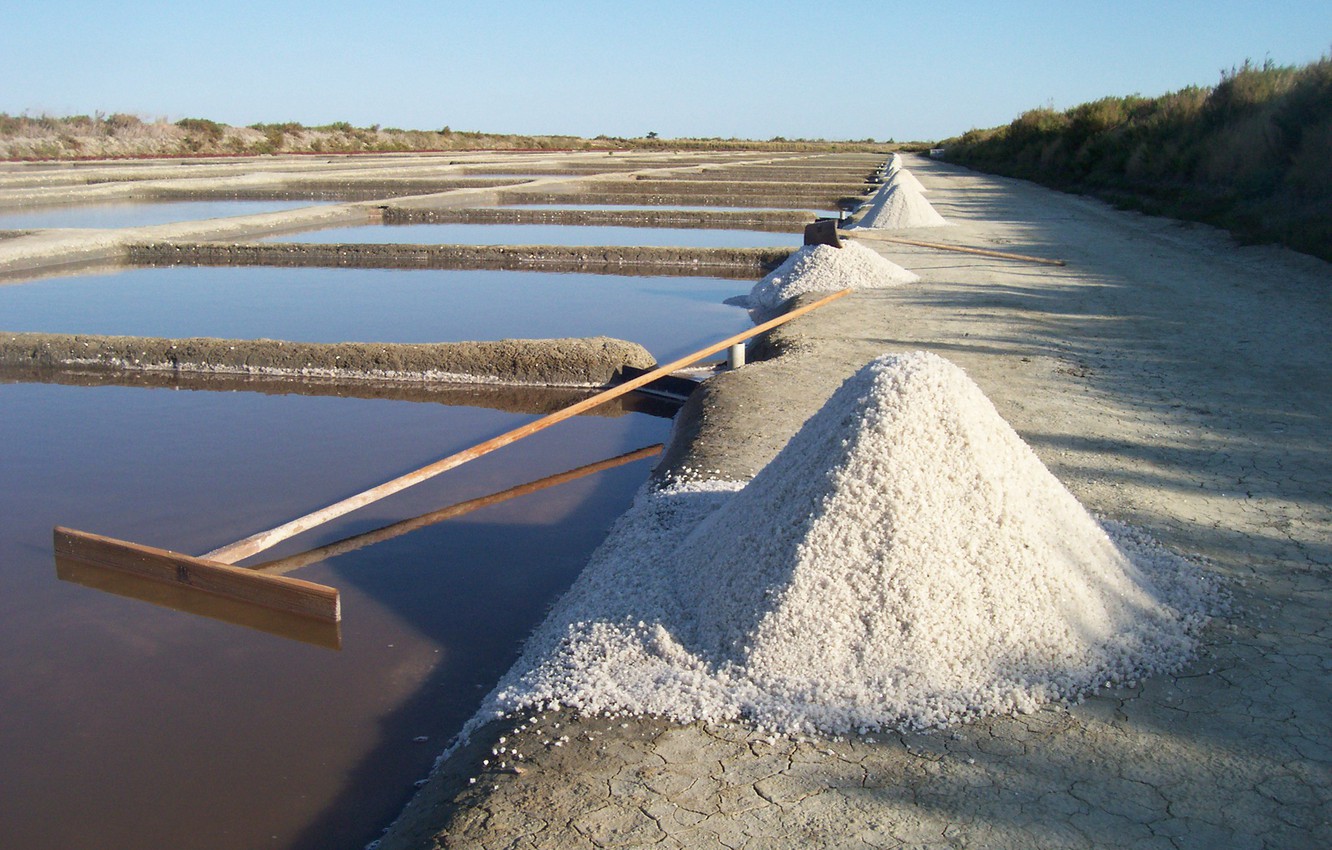 Photo Wallpaper France, Salt, Ile De Ré, Salt Marsh, - Freshwater Marsh - HD Wallpaper 