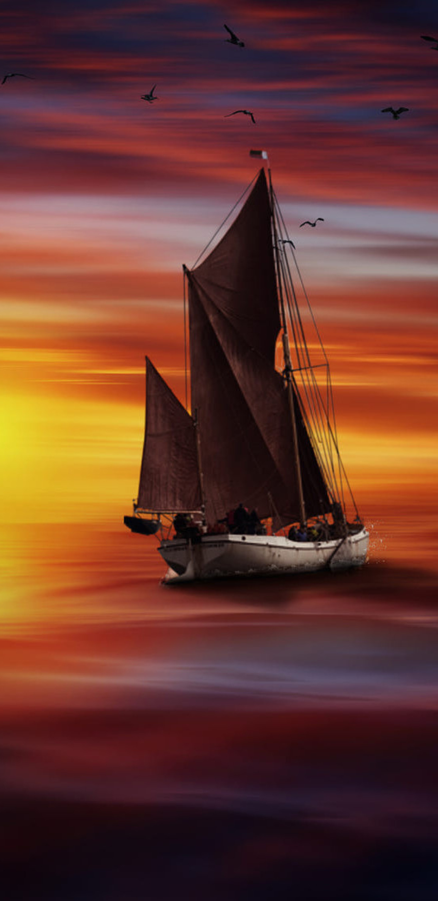 Wallpaper - HD Wallpaper 