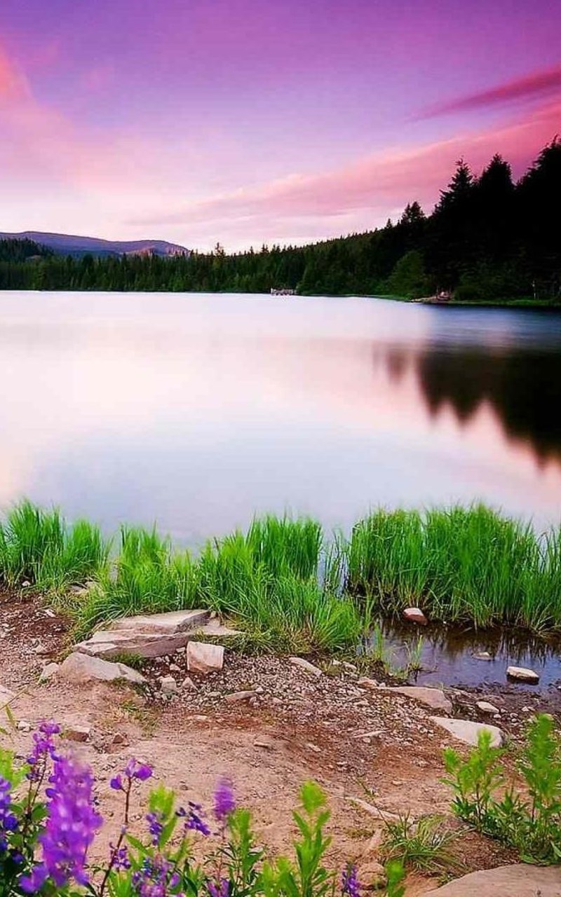 Nature Scenery Wallpaper For Android - HD Wallpaper 