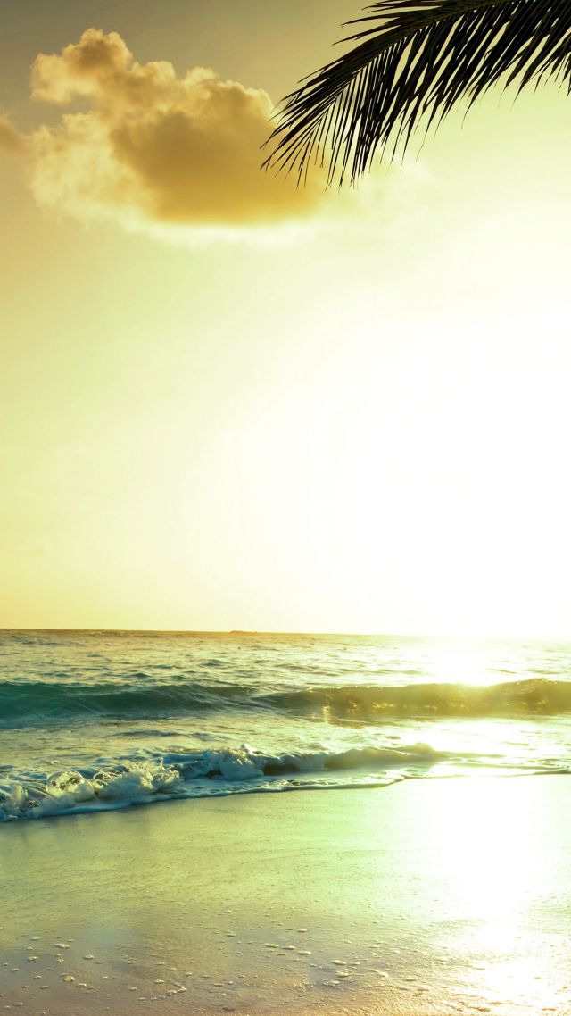Tropical Beach, 5k, 4k Wallpaper, Paradise, Sunset - Paradise Beach Sunset - HD Wallpaper 