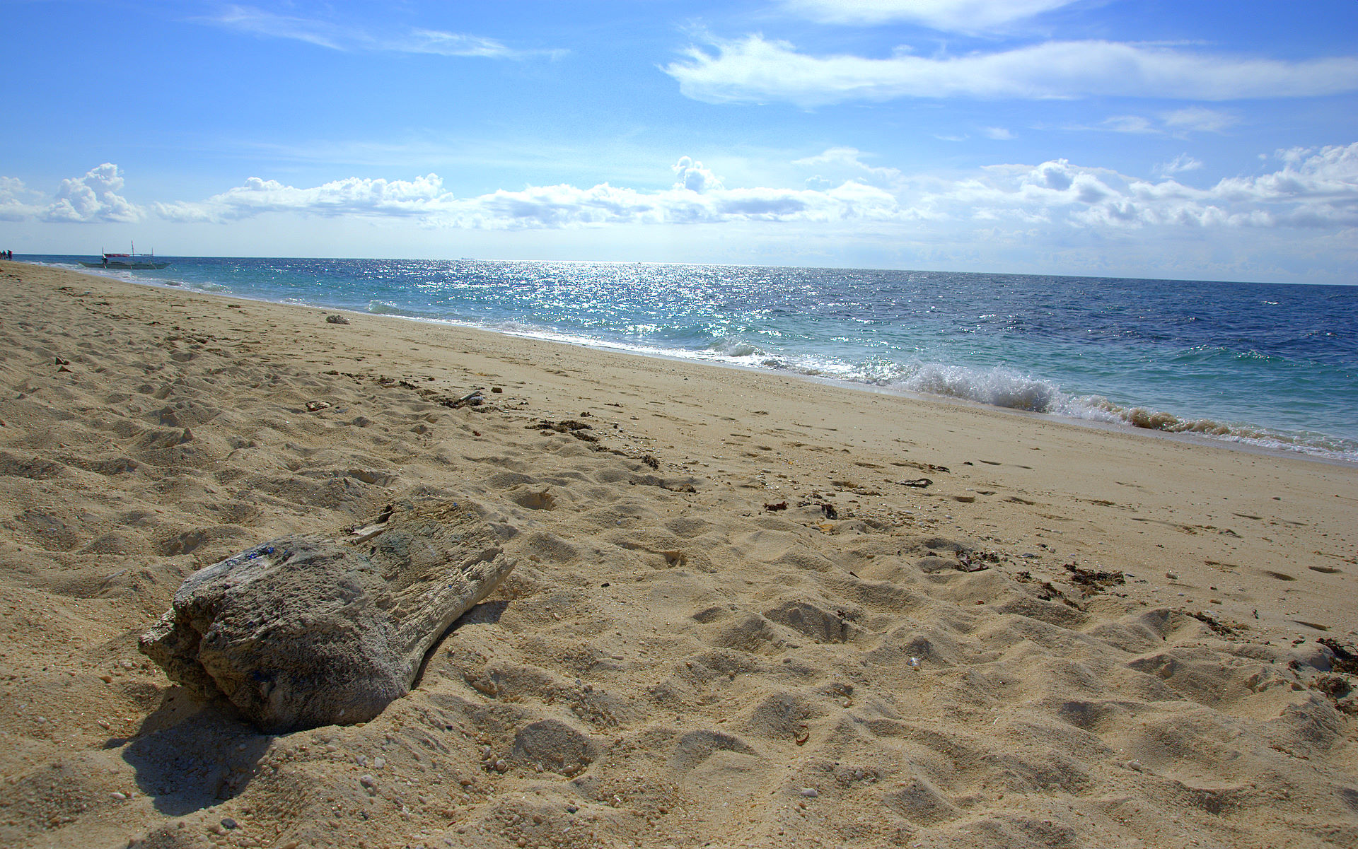 Tropical Beach Wallpaper - Tropical Beach - HD Wallpaper 