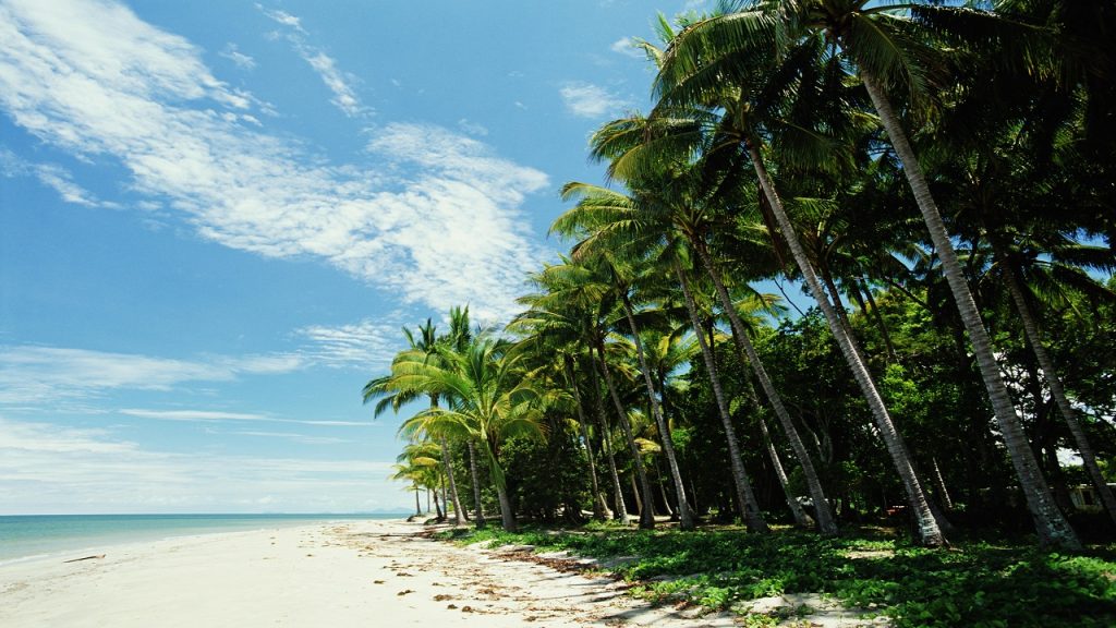 Maldives Tropical Beach - Джунгли У Берега Моря - HD Wallpaper 