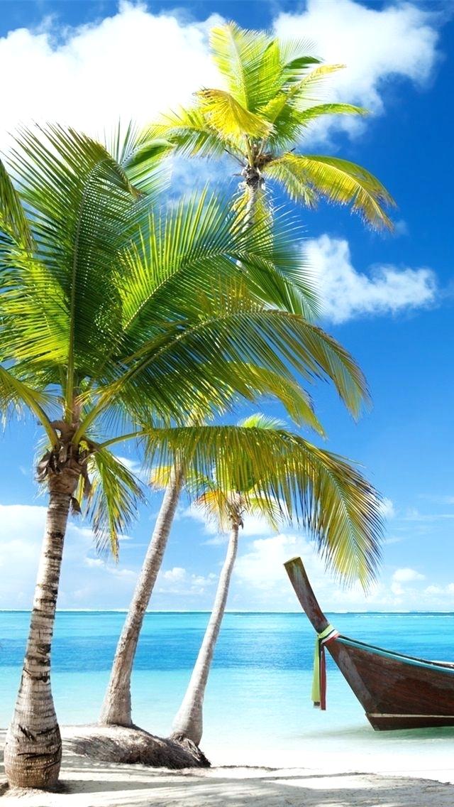 Tropical Beach Wallpaper Palm Trees Boat Sea Clouds - Palm Trees On Beach - HD Wallpaper 