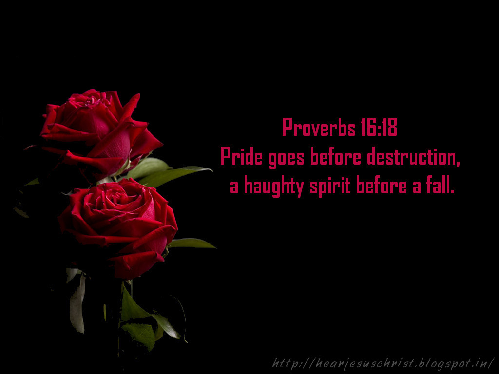 Bible Verse Proverbs 16 18 - HD Wallpaper 