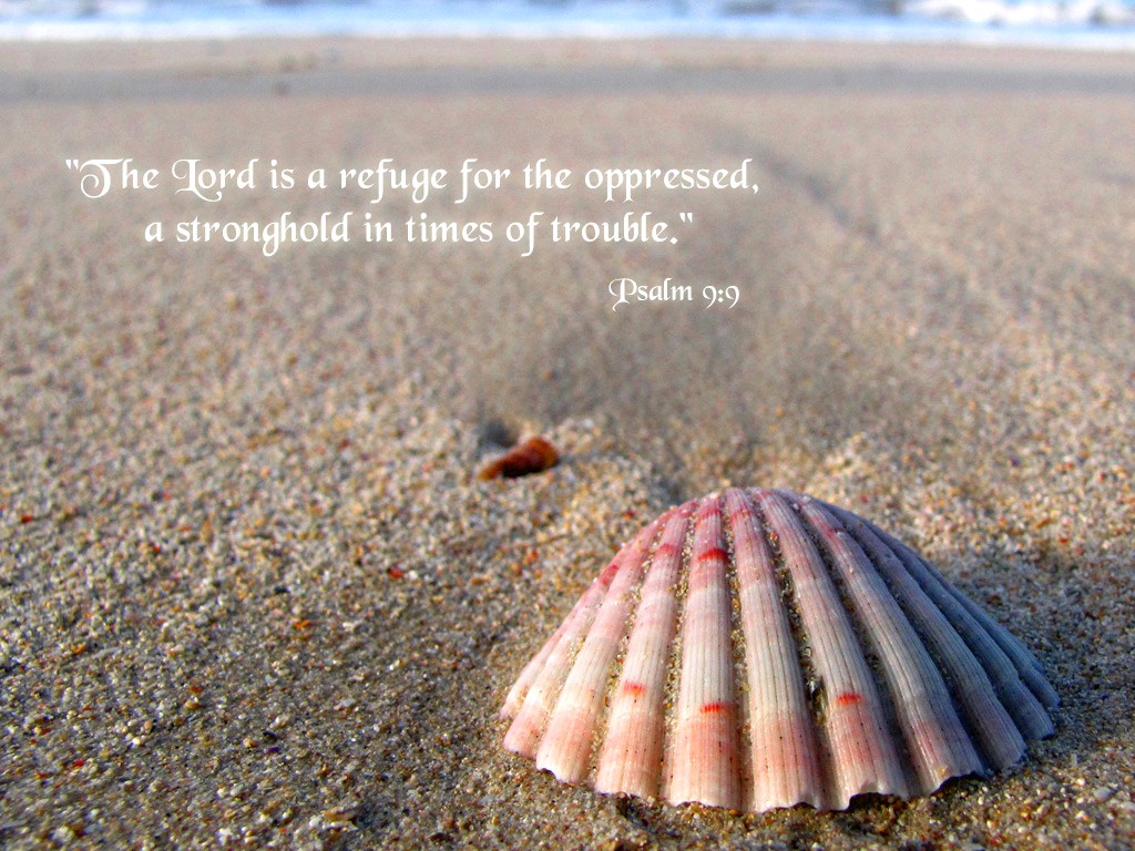 Bible Verse Wallpaper For Desktop - Scallop Shell On Beach - HD Wallpaper 