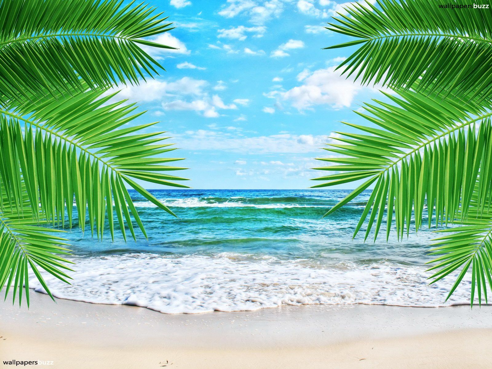 Free Newest Beach Theme Wallpaper - Beach Background Hd - HD Wallpaper 