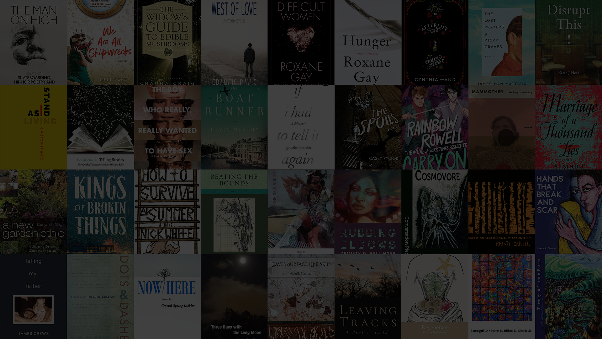 Novel - HD Wallpaper 