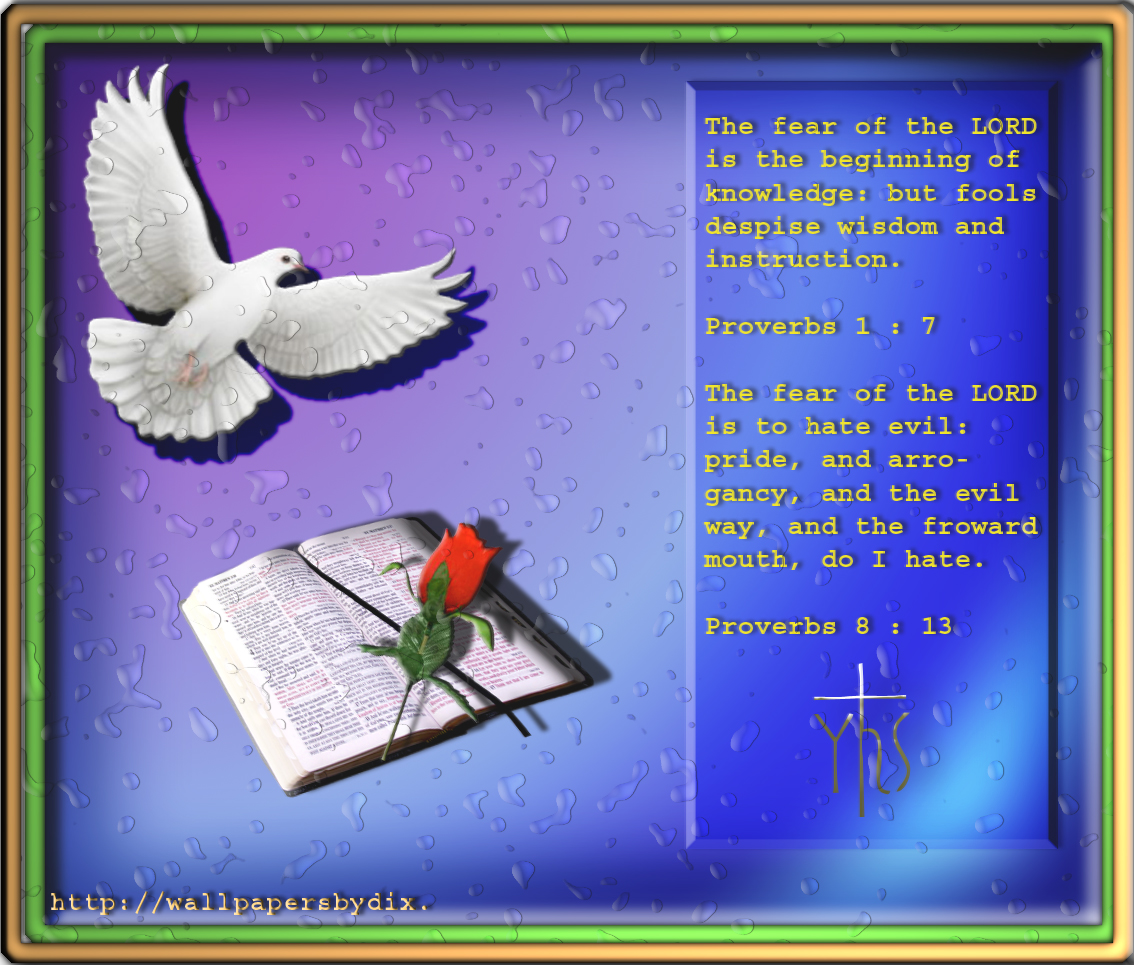 Pigeons And Doves - HD Wallpaper 