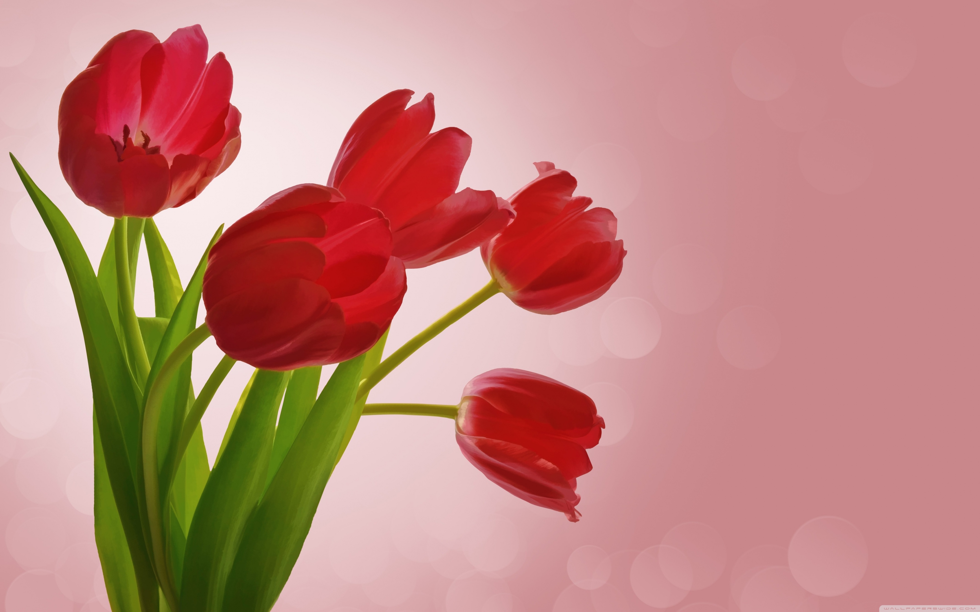 Morning Images For Gf - HD Wallpaper 